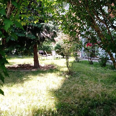 Central Lakeside Apartment Ohrid Bagian luar foto