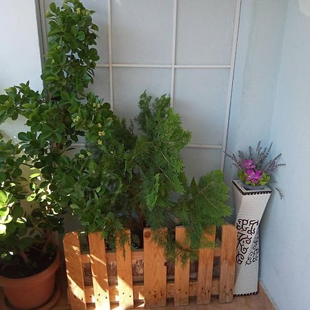 Central Lakeside Apartment Ohrid Bagian luar foto